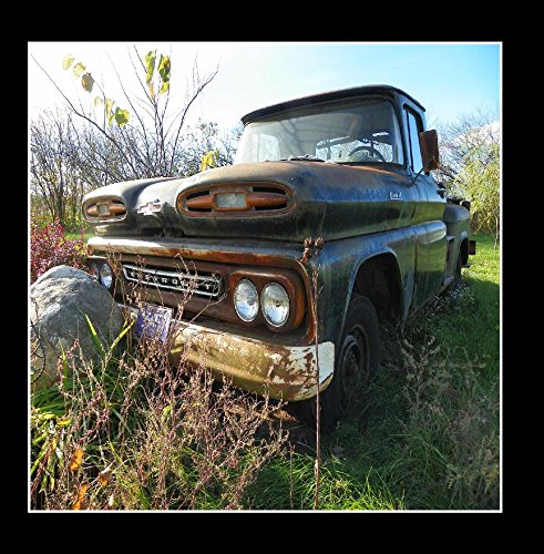 Preisvergleich Produktbild Which Way to Go