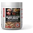 AquaNature High Protein Dried Black Soldier Fly Larvae Food for Arowana, Flowerhorn, Oscar,Blood Red Parrot and Other Carnivorous Aquarium Fish (40g)