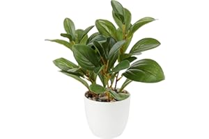 ‎BRIFUL Briful Künstliche Zimmerpflanze Kamelie Kunstpflanze Camellia Japonica im Kunststofftopf Dekorative Seidenblumen Kamelie Kunstblumen für Home Hotel Dekoration