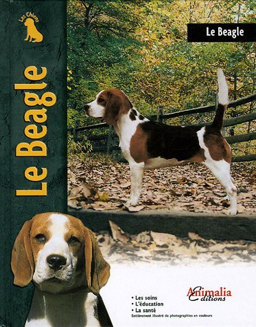 Le beagle