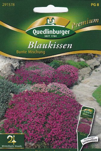 Blaukissen, Bunte Mischung