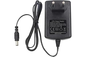 Security-01 Adattatore di alimentazione CA 110-240 V a DC 12 V 2 A, spina 5,5 mm x 2,1 mm, per telecamera di videosorveglianza DVR LED String Light