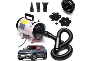 ZanGe Metro Blower Dryer 2800W Speedless Metro Blaster Dryer, Motorbiker Dryer, Car and Motorcycle Dryer and Duster, Dryer Blower,Professional Heater Blaster Blower, 3 Nozzles，Pink