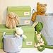 Minene Storage Basket Gingham (Small, Blue)