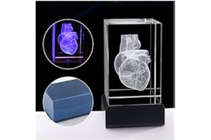 COUOI Coeur Humain 3D Anatomical Modèle - Cristal Coeur Humain 3D avec coronariens - Paperweight (Laser Gravé) en Science Verre Cristal Cube Cadeau (Inclus Base LED)