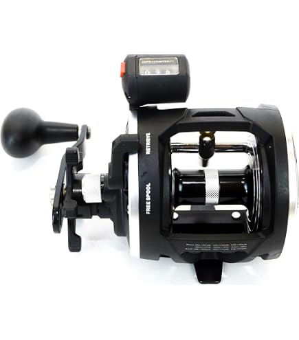 best saltwater fishing reels 2019 Best Saltwater Spinning Reels, Offshore Reels