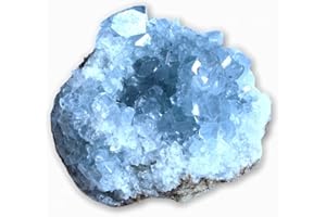 Steinfixx® - Premium Coelestin Kristall I Celestine | Celestit | Edelstein I Heilstein I Cluster I funkelnder Blickfang I Madagaskar (10-30 gr)