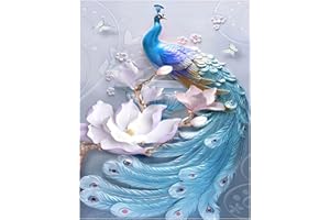 DCIDBEI Diamante quadrato 40x50cm pavone square daimond painting adulto grandi con immagine disegni con perline adesive quadri da dipingere numerati paint by numbers puzzle 5d diamanti kit ricamo punto croce