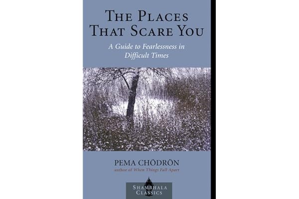 The Places that Scare You: A Guide to Fearlessness in Difficult Times