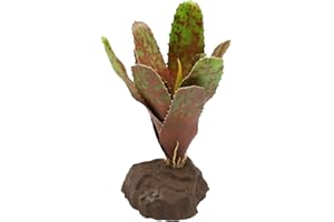 Lucky Reptile Scape it Easy - Bromelie Neoregelia grün ca. 20 cm - Dekopflanze für Terrarien