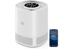 WISKEMA Air Purifier with H13 HEPA Filter, Filters 99.97% of Dust and Particles up to a Size of 0.3 Microns, Sleep Mode (20 dB) and Auto Mode, Three Speeds for Home Use