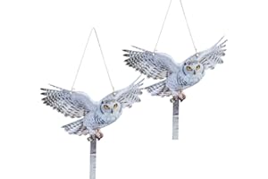 KUNGFU MALL 2 spaventapasseri per uccelli, decorazione riflettente, gufi, falco stampato su entrambi i lati, per tenere gli uccelli lontani dalle finestre del giardino e della terrazza