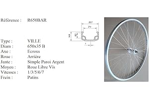 Rovva - Roue Arrière De Fabrication Française Diamètre 650 (Etrto : 37X584) - 6 Vitesses - Argenté