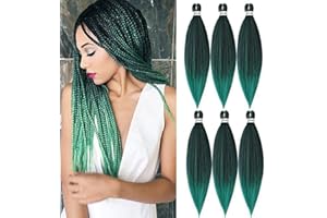 DT CHERYL 66cm vorgedehntes Flechthaar,6 Packungen Easy crochet braids hair,Hot Water Setting Professional Soft Yaki Textur Crochet braids extension(T27/613)…