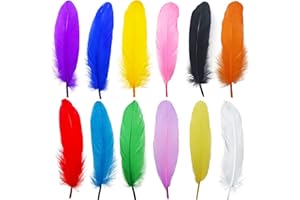 FREE WOLF Plumes Colorées, 150 Pcs Coloré Nature Plumes D'oie, Plumes Multicolore, Naturel Multicolore Plume Décoration Pour Diy Arts Crafts, Décoration D'intérieur, Fete Mariage Anniversaire,Costumes, Chapeaux