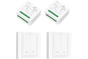 Tedeligo Interruptor inalambrico, Emisor De Radio Móvil Y Emisor De Pared 2 En 1, Mini Receptor Funciona Con Interruptor De Panel De Pared, Para Lámparas De Hasta 220V 3500W(2interruptor 2receptor)