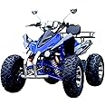 Silk Route - STC01 Adult Quad Bike 250cc ATV 4 Wheeler High Performance Hill Climbing Atvs for Adults Off Road Racing Gas Powered Vehicle ATV-BL-SRK