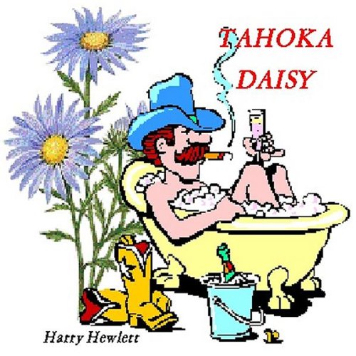 Preisvergleich Produktbild Tahoka Daisy