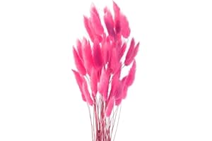 Diyxisk Hierba de la Pampa,50 Pcs Flores Secas Naturales Decoración,Flores Preservadas Adecuado para Jarrón Mesa de Boda Habitación Decoración del Hogar Accesorios Sala de Estar(Rojo Rosa Profundo)