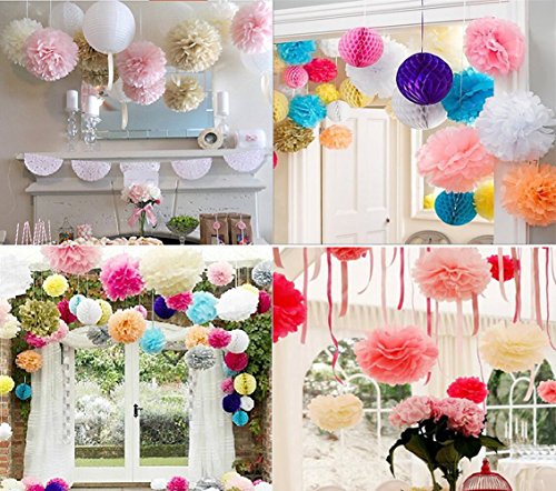 NectaRoy DIY PomPoms Tissue PomPon Papierblume handgefertigt Hochzeit Partei Feier Dekoration für Hochzeit/Gebutztag/Baby Shower/Weihnachten 25cm, 5 Stück Seidenpapier (Weiß) - 5