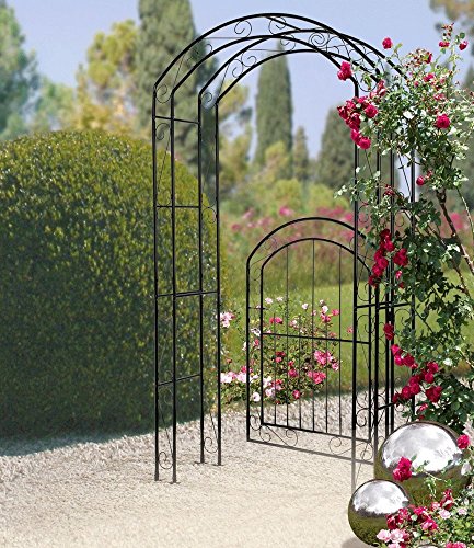 Gartentür mit Rankhilfe, Gartenprotal mit Rosenbogen - 2