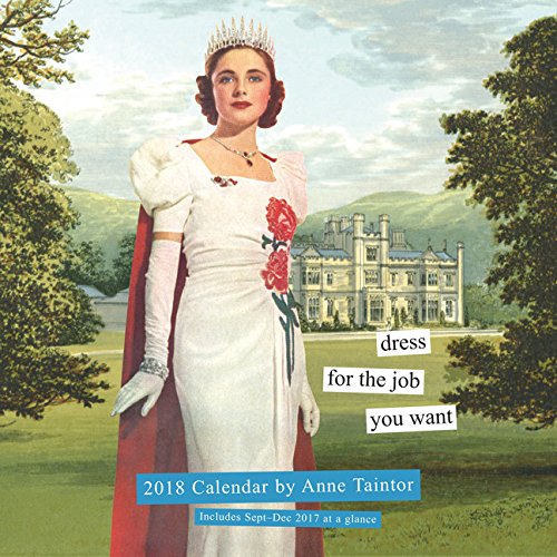 Télécharger Anne Taintor 2018 Calendar PDF