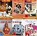 Produktbild Sexy Classic EROTIK KULTFILME COLLECTION Das französische Frühstück + Liebesmarkt + Die liebestollen Apothekerstöchter + Der Krankenschwesternreport + Der Chauffeur von Madame + Auch Ninotschka zieht ihr Höschen aus 6 DVD Edition
