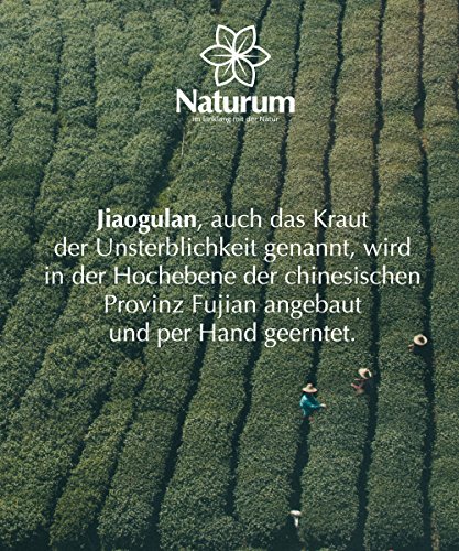 Jiaogulan, 100g (Geprüfte Premium Qualität) – JETZT NEU – Unsterblichkeits-Kraut, Wildwuchs – Wildsammlung aus dem Hochland der Provinz Fujian, Botanisch – Gynostemma Pentaphyllum - 4