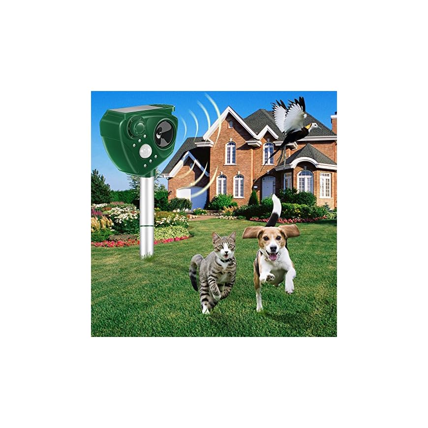 Repellente solare per gatti, dissuasore ad ultrasuoni per animali, impermeabile, con sensore di movimento, per fattoria, giardino, cortile, cani, gatti, uccelli, scoiattoli