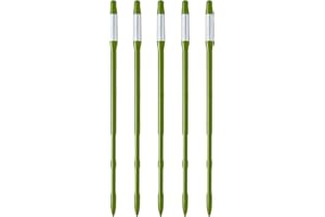 SUS TEE SUStee Indicateur d'arrosage pour Plantes (Lot de 5, Grand, Vert) - pour Toutes Les Plantes, Fonctionne dans Tous Les sols | Design Minimaliste, Facile à Utiliser, sans Piles | 100% Made in Japan