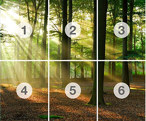 Fototapete STRAHLEN IM WALD Nr:6T-112 300x250cm Bild Bordüre Wanddekor wallpaper - 2