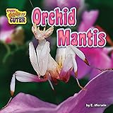 The Orchid Mantis Amazon Co Uk Townsend Robert James 9781728614458 Books