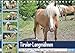 Produktbild Tiroler LangmähnenAT-Version (Tischkalender 2018 DIN A5 quer): Haflinger - die Pferde der Alpen (Monatskalender, 14 Seiten ) (CALVENDO Tiere) [Kalender] [Apr 13, 2017] Lantzsch, Katrin