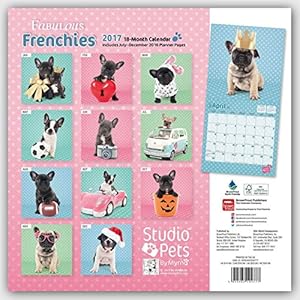 Fabulous Frenchies - French Bulldogs 2017 - 18-Monatskalender: Original Myrna-Kalender [Mehrsprachig] [Kalende
