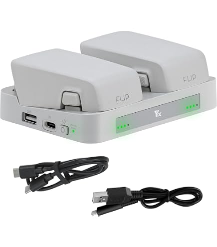 Double Chargeur Pour Batteries Insta360 X5 - Station De Charge Rapide, Compacte En ABS, Pour Deux Batteries Simultanées
