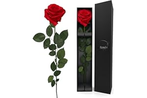 LA ROSEE ETERNELLE Rosa Eterna Perfumada 48 cm – Flor Natural Preservada de Ecuador – Regalo Romántico para Mujer : Cumpleaños, San Valentín, Boda o Día de la Madre – Color : Red One