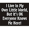 I live in my own little world but it's ok everyone knows me here Funny Joke Novelty Car Bumper Sticker 7.5x5.5"