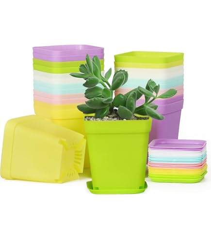 Set da 4 Piante Artificiali in piccoli vasi di plastica, fiori finti