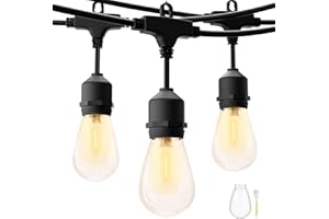 ZOTOYI Outdoor String Lights Mains Powered LED, 50FT S14 Waterproof IP65 Festoon Lights Outdoor with 15+1 Plastic Bulbs, Heavy Duty Garden Lights for Indoor Backyard Patio Pergola, 2700K