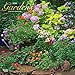 Produktbild Gardens - Gärten 2019 - 18-Monatskalender (Wall-Kalender)