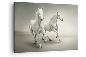ARTTOR Canvas Print animals arab horse farm Canvas Picture 70x50cm Wall Art Decoration Framed Living Room Bedroom Kitchen Small Home Decor Printed Modern Artwork Photo Gallery AA70x50-2387
