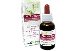 Star of Bethlehem eller Bethlehems stjärna (Ornithogalum umbellatum) Naturalma Emotionella blommor eller Bachblommor - 30 ml Flytande alkoholfritt extrakt i droppform - Blommessenser - Vegansk