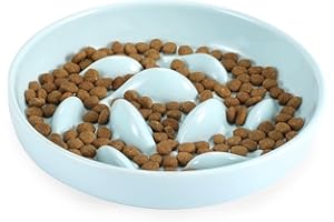 IDOGCHEW Gamelle Anti Glouton Céramique pour Chat, Plat Régime Anti Vomissement pour Chat Glouton, Bol Ludique Puzzle pour Chaton Manger Lentement, Rond, Vert Clair