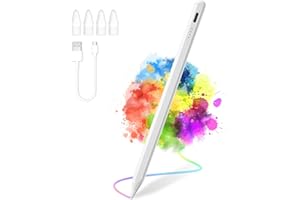 TOLOOM Stylo tactile pour Apple iPad (2018-2022)