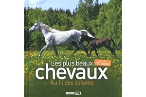 plus beaux chevaux au fil des saisons (les ) (0)