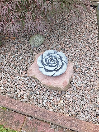 Steinfigur Steinblüte Blume Rose Steinrose Steinguss Gartendeko Frostfrei 19 cm - 3