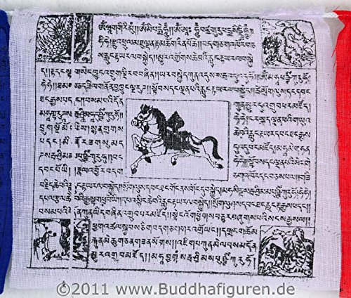 Tibetische Gebetsfahnen Frieden und Reichtum 10 Fahnen Länge 1,6 m Buddha Dekoration - 6