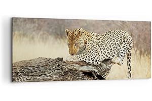 ARTTOR Cuadros Decoracion Salon África leopardo gato Safari Lienzos decorativos 120x50cm Cuadro Sobre Lienzo Moderno Dormitorio Cocina Cuadros Pared Imágenes Wall Art Prints Decor Grande AB120x50-2599