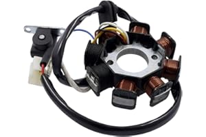 2EXTREME Lichtmaschine einzeln Version 1 kompatibel für REX RS450 QM50QT-6A Qingqi, BENZHOU YY50QT-15 Retro Star, ZNEN ZN50QT-E, MOTOBI Rimini 50 4-Takt, BAOTIAN BT49QT-11 - BT50QT-11, JONWAY YY50QT