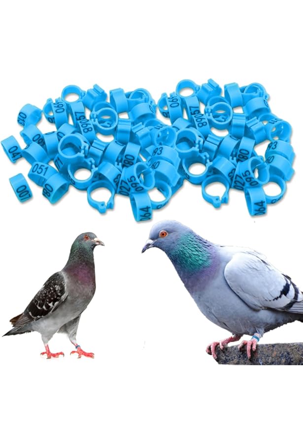 100 Pièces/lot Ailes De Poulet Anneau D'identification Oiseau Caille Pigeon Canard Oie Poulet Ailes Identifiant Volaille Ferme Poussin Ailes Anneau